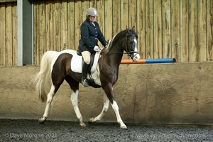 Isis Dressage Crown Farm Show 29th April 2012